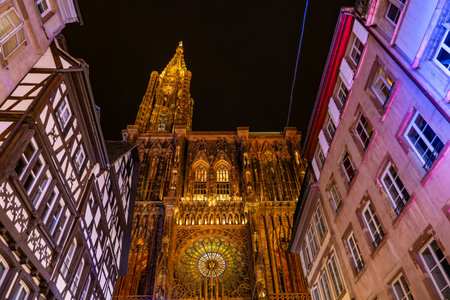 NIght view of the Cathedral of Strasbourgの写真素材