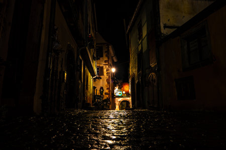 Night view of an alley in an Alsatian townの写真素材