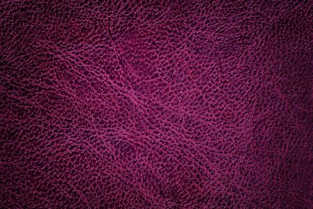 Lacquered dark purple leather texture background, closeup. Wine backdrop from wrinkle skin, structure of textile with vignetteの写真素材