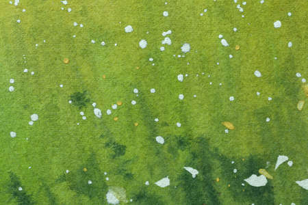 Abstract art background light green and olive colors.  on canvas with soft gradient. Fragment of artwork on paper with white spotted pattern. Texture backdrop.の写真素材