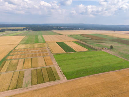 Various field sections of green and brown colors with ground roads near dense green forest, aerial...