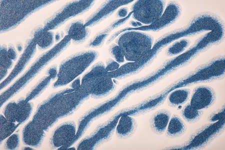 Abstract fluid art background navy blue and white colors. Liquid marble. Acrylic painting on canvas...