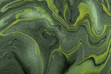 Abstract fluid art background dark green and olive colors. Liquid marble. Acrylic painting on canvas with khaki lines and gradient. Alcohol ink backdrop with wavy pattern.の写真素材