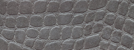 Dark gray upholstery velvet fabric texture background with crocodile skin pattern, soft velour...