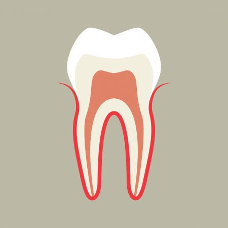 Toothのイラスト素材
