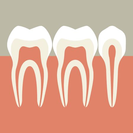 Teethのイラスト素材