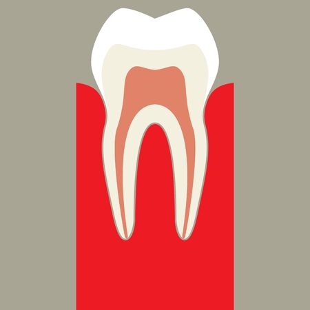 Teethのイラスト素材