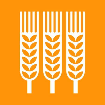 Wheat ear icon on orange backgroundのイラスト素材