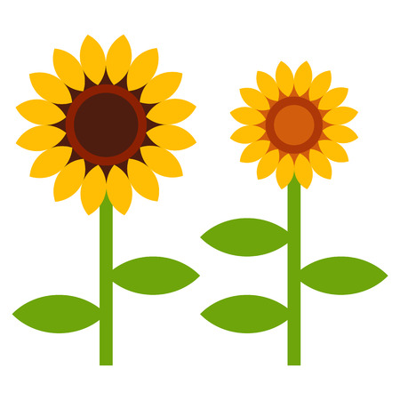 Sunflowers symbol isolated on white backgroundのイラスト素材