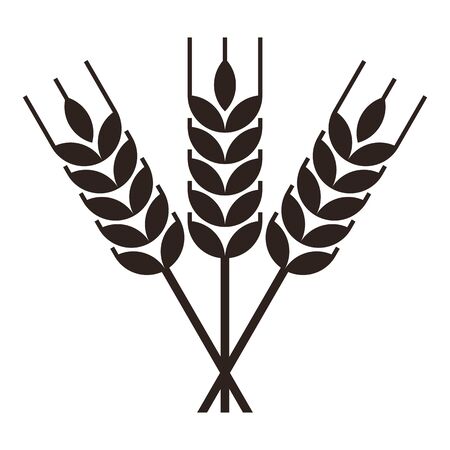 Sheaf of wheat engraving isolated on white backgroundのイラスト素材