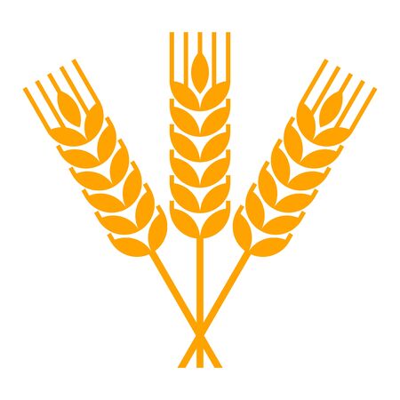 Sheaf of wheat engraving isolated on white backgroundのイラスト素材