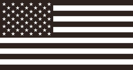 Flag of the United States. The American flagのイラスト素材