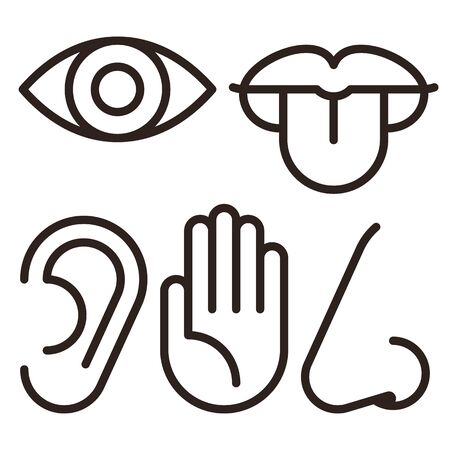 Eye, ear, lips, nose and hand - five senses of human nervous system. Sensory organs icon set isolated on white backgroundのイラスト素材