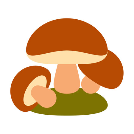 Mushrooms isolated on white backgroundのイラスト素材