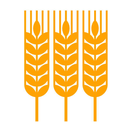 Wheat ear icon. Harvest symbol isolated on white backgroundのイラスト素材