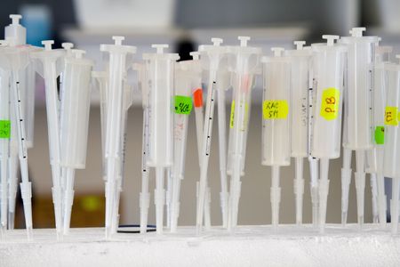 Syringes in the laboratory