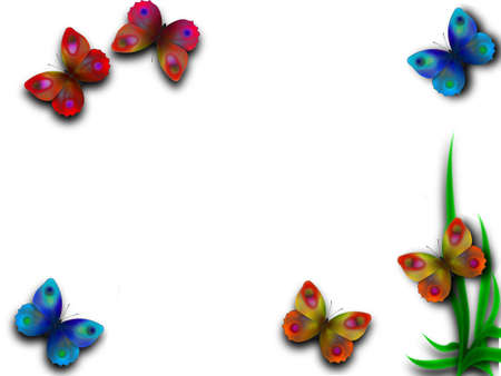 Frame beautiful butterflies on a meadow in the summerの写真素材