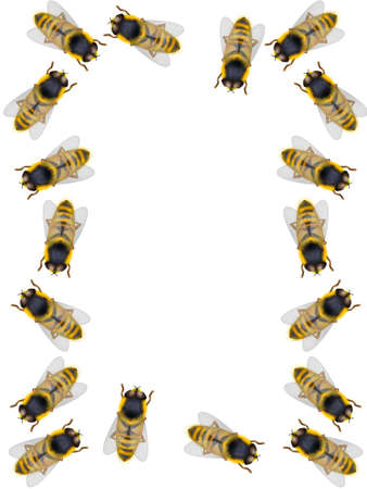 Frame from bees on a white background