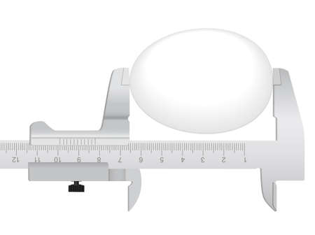The measuring tool and egg on a white backgroundのイラスト素材
