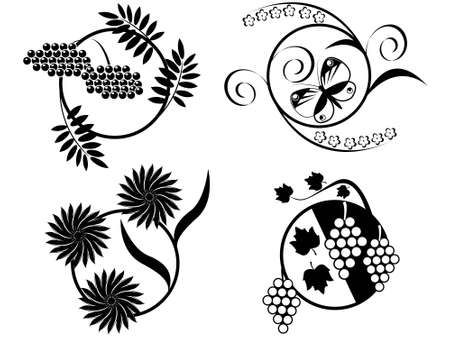 Flower, the  and berries - contours in a vectorのイラスト素材