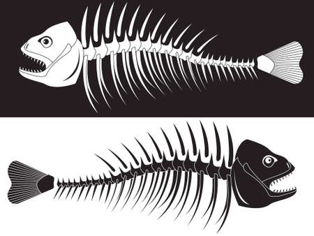 Bones of a skeleton of fishのイラスト素材