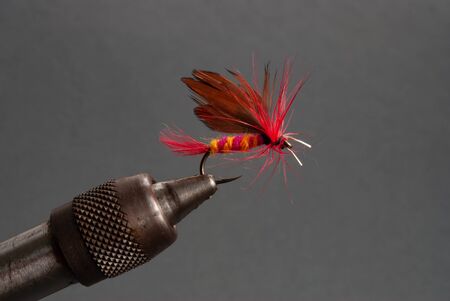 A vivid red dry fly for fishing in a vice with a neutral grey backgroundの写真素材