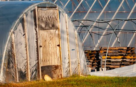 A row of plastic and glass greenhouses with wooden pallets, and a watering system between them.の写真素材