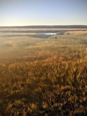 A large flat salt marsh with windswept tall grass and a hazy horizon.
