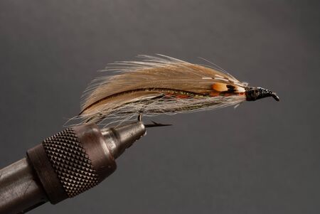 Close-up of a Salmon Fly in a viceの写真素材