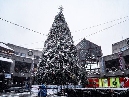 A Large Christmas Tree Being Erected In A Shopping Plazaのeditorial素材