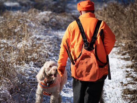A Hunter in orange gear reaches down to his white hunting dog.