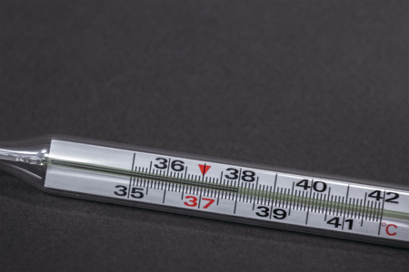 Thermometer in hand isolated on white background. Temperature measuring by a thermometer. Fever...