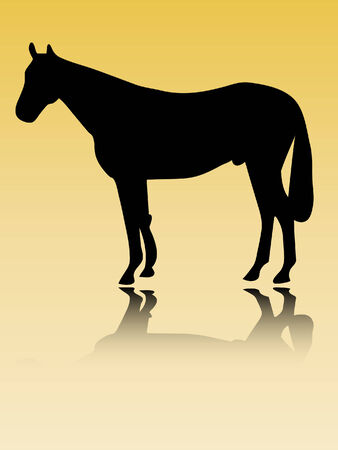 horse silhouette vectorのイラスト素材