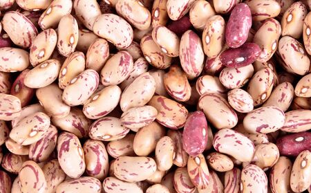 Colored haricot beans closeup on a background, top view, beans background ..の写真素材