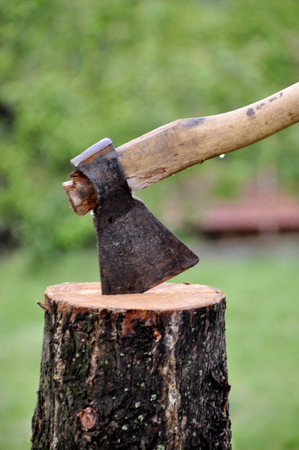 The ax is sticking out from a log.