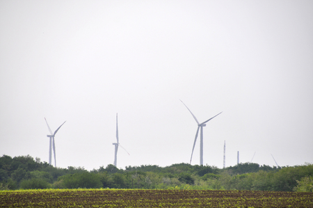 Wind turbine in the field producing energy