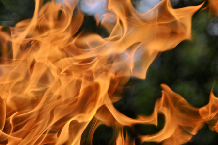 Fire. Wood burning in the fire. Orange flame. Tongue of flame.の写真素材