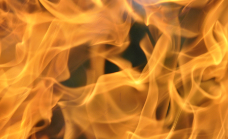 Fire. Wood burning in the fire. Orange flame. Tongue of flame.の写真素材