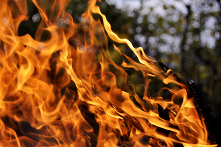 Fire. Wood burning in the fire. Orange flame. Tongue of flame.の写真素材