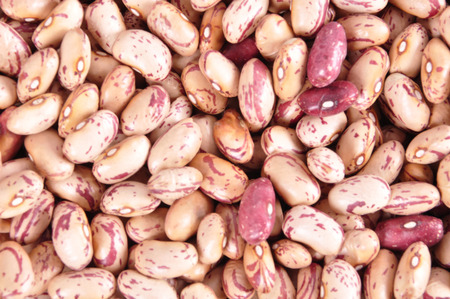 Colored haricot beans closeup on a background, top view, beans background..の写真素材