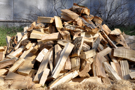 Pile of wood logs for interesting backgrounds and textures. For creative ideasの写真素材