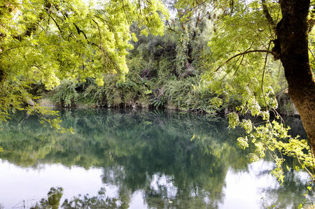 river in impassable thickets with reflection in the water.の写真素材