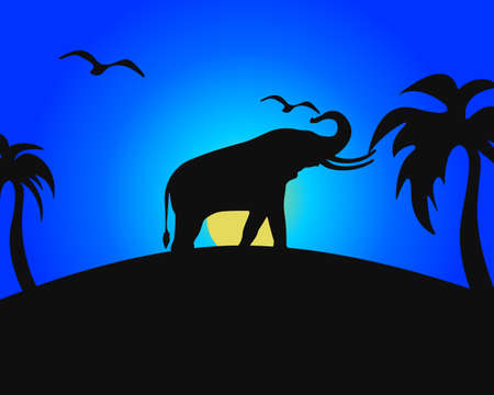 Elephant silhouette with tropical background. Palm trees, birds and sunset.のイラスト素材
