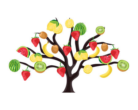 Tree with fruits. Mix of fruits on the tree. Watermelon, lemon, strawberry, kiwi and banana. Isolated on white background.のイラスト素材
