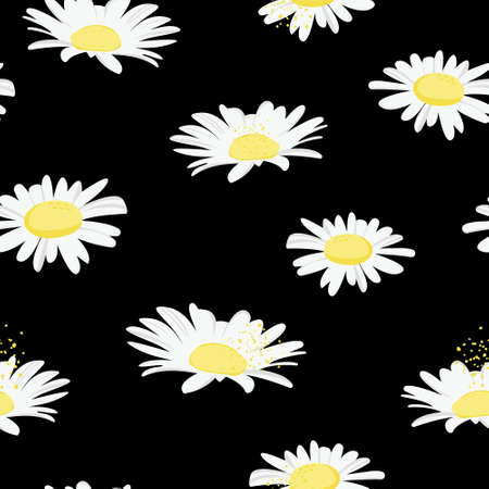 Seamless floral pattern. Daisy. Prints, packaging design, bedding, wallpaper.のイラスト素材
