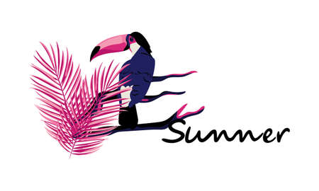 Summer banner with toucan, palm leaves and summer lettering. Isolated on white background.のイラスト素材