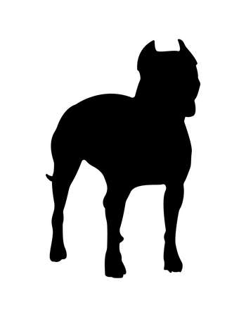 American staffordshire terrier, pitbull dog silhouette. Isolated on white background.のイラスト素材