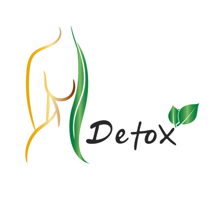 Vector illustration of female body silhouette and inscription detox. Logo for nutritional plans, nutritionist, diets, health, medicine.のイラスト素材