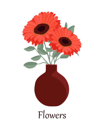 Vector illustration of gerberas in a vase with the inscription Flowers. Isolated on white background.のイラスト素材