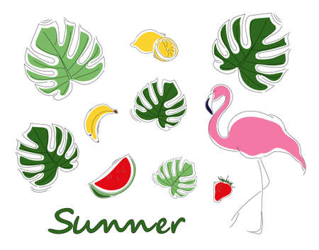 Set of summer elements. Flamingo, fruit, strawberry, banana, lemon, watermelon and monstera tropical plants. Isolated on white background.のイラスト素材